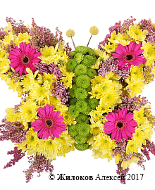 ���������� ������� ���������