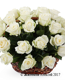 ����� 35 ��� ������� � �������