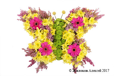 ���������� ������� ���������