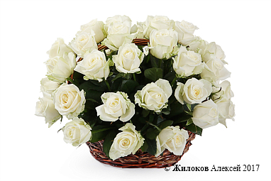 ����� 35 ��� ������� � �������