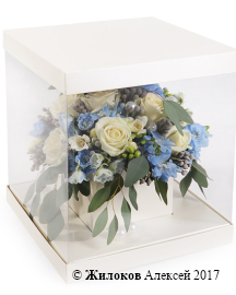 ����� ��� ����� ����� � ������� �������