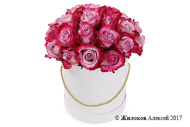 ����� 25 ��� ��� ����� � ������� �������