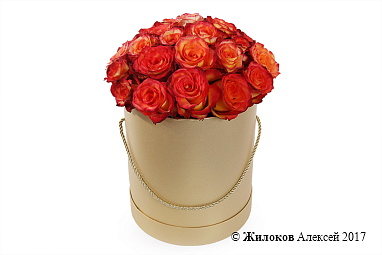 ����� 25 ��� ��� ������ � ������� �������