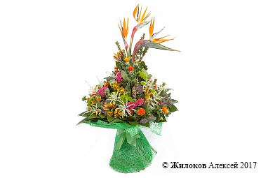 ����� � �������������� �������