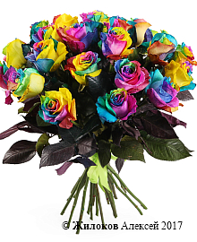 ����� 25 �������� ���