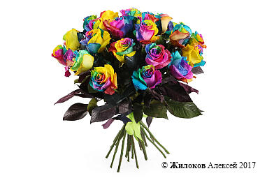 ����� 25 �������� ���