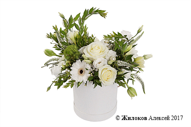 ����� ������ ����� � ������� �������