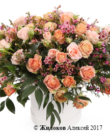 ����� �������� ����� � ������� �������