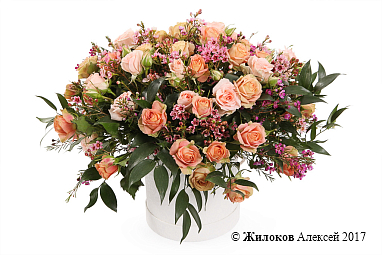 ����� �������� ����� � ������� �������