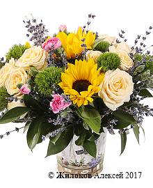 ����� �������