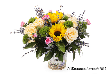 ����� �������