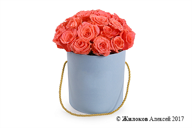 ����� ��������� ���������� � ������� ������� (����)