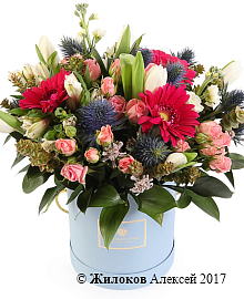 ����� ������� ��-����������� � ������� �������