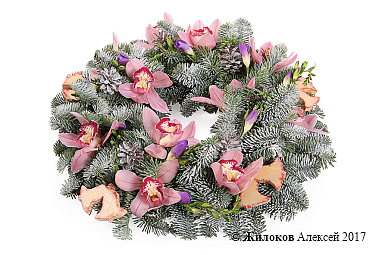 ����� ������ ���������