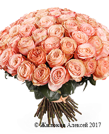 ����� 101 ����������� ���� ������