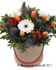 ����� ������� � ������� �������