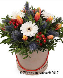 ����� ������� � ������� �������