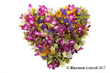 ����� ������ �������