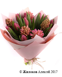 ����� ������ �� �������� �����