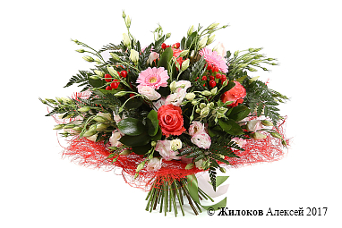 ����� ���� ������