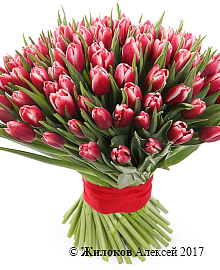 ����� 101 ����������� �������, ����