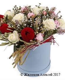 ����� ����������� � ���� � ������� �������