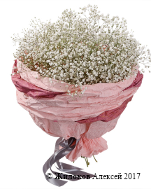 ����� �������� �����