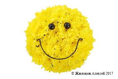 ���������� �� ��������� �������