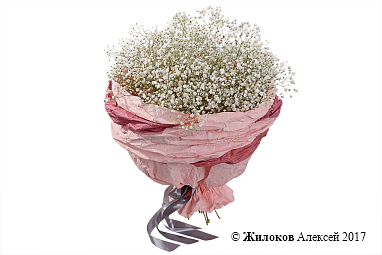 ����� �������� �����