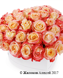 ���������� ������� ������� � ������� �������-������