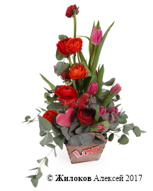 ���������� ���� ������������ � �����