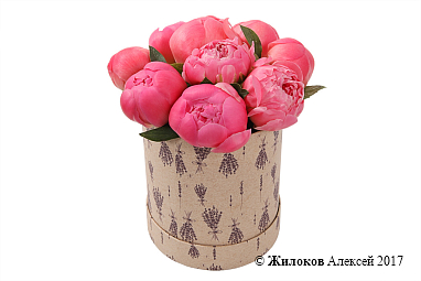 ����� 9 ���������� ������ � ������� �������