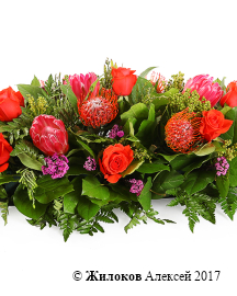 ���������� ��������� �������