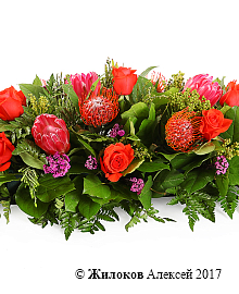 ���������� ��������� �������