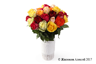 ����� ����������� ������� (35 ���) � ����