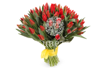 ����� 51 ����������� �������, �������