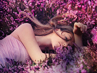 � ���� ������ ����� �����