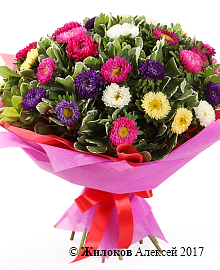 ����� �������� ����