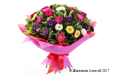 ����� �������� ����