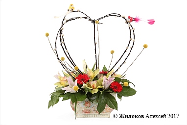 ����� ������� ���