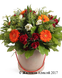 ����� ��������� �������� � ������� �������