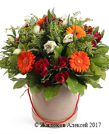 ����� ��������� �������� � ������� �������