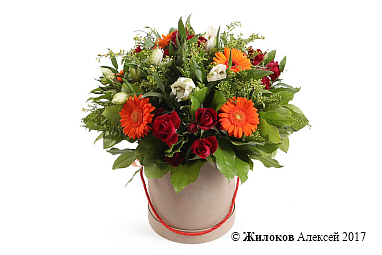 ����� ��������� �������� � ������� �������