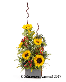 ���������� � ������������ ���� ������ � �����