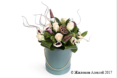 ����� ������� �� ������� � ������� �������