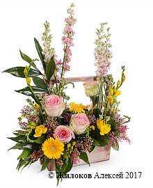 ���������� ��������� ���� � �����