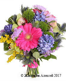 ����� ���������� ����