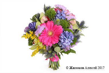 ����� ���������� ����