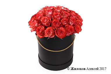 ����� 35 ��� ������ � ������� �������