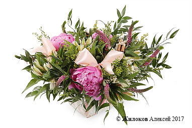 ���������� � ������� ��������� � �����